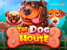 Pest control casino. En pahalı köpek.75